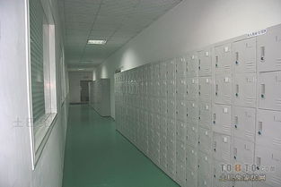 其他办公空间装修案例 效果图